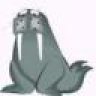 Walrus