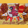 CinCY Clones