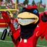 Cyclonesfan