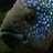Fishhead