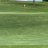 ISUGolf2008